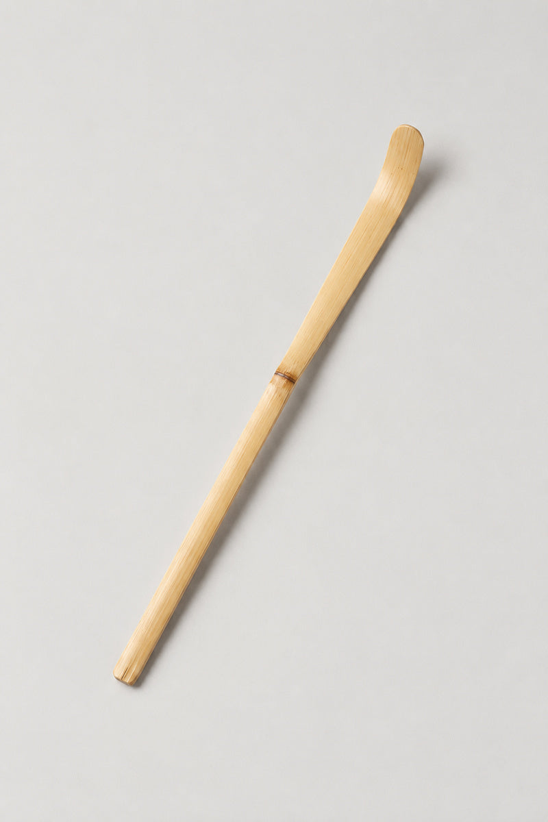 Chashaku 'Takesaji' – pale bamboo chashaku matcha scoop bent at the tip, Japanese tea ceremony spoon, studio view