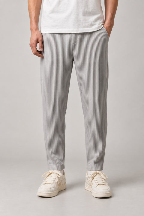 Pleated Straight Leg Trousers 'Hida' – light grey pleated straight leg trousers, Japanese streetwear pants, front view on model